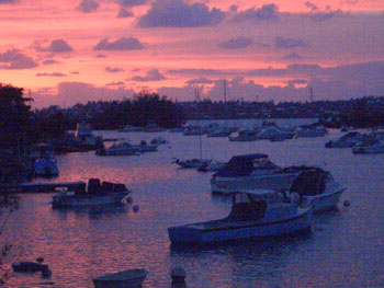 bermuda.jpg