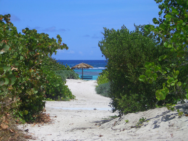 anegada2.jpg