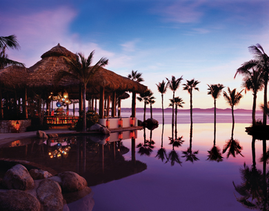 oneonly-palmilla_edited-1.jpg