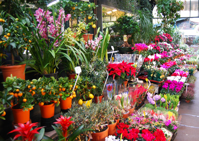Favorite Flower Market-Marche aux Fleurs