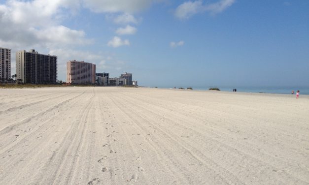 Top Things to Do in Clearwater, Florida