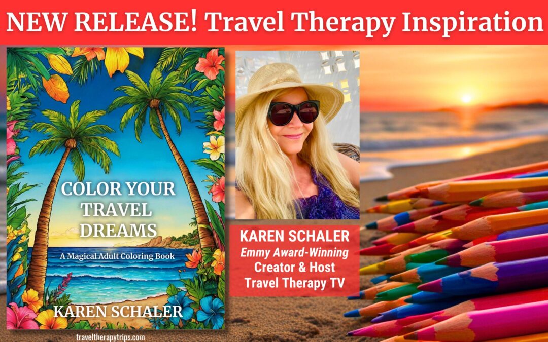 New Top Travel Book By Karen Schaler