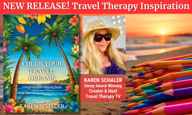New Top Travel Book By Karen Schaler